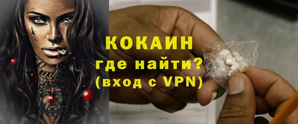 гашик Липки