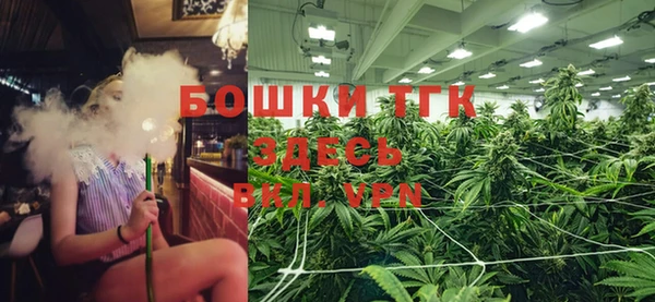мдпв Великий Новгород