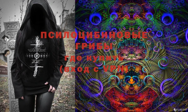 apvp Краснослободск