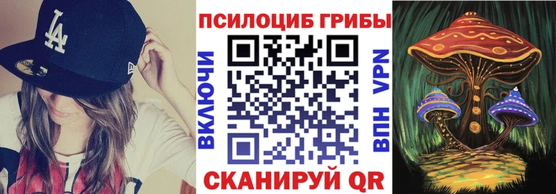 купить наркотик  Суровикино  Галлюциногенные грибы мицелий 