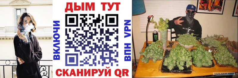 продажа наркотиков  Суровикино  Шишки марихуана SATIVA & INDICA 